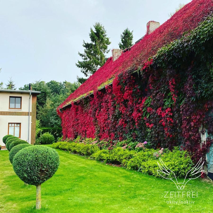 ZEITFREI Urlaubsappartememts Steffenshagen Exterior foto